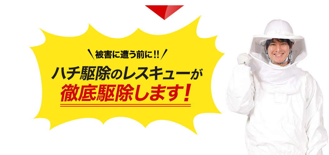 被害に遭う前に!ハチ駆除のレスキューが徹底駆除します!