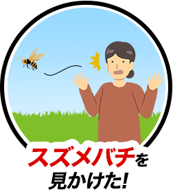 スズメバチを見かけた!