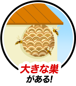 大きな巣がある!