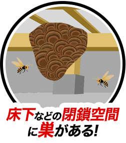 床下などの閉鎖空間に巣がある!