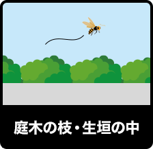 庭木の枝・生垣の中