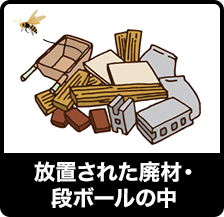 放置された廃材・段ボールの中