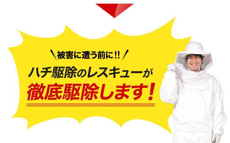 被害に遭う前に!ハチ駆除のレスキューが徹底駆除します!
