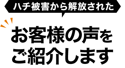 ハチ被害から解放されたお客様の声をご紹介します